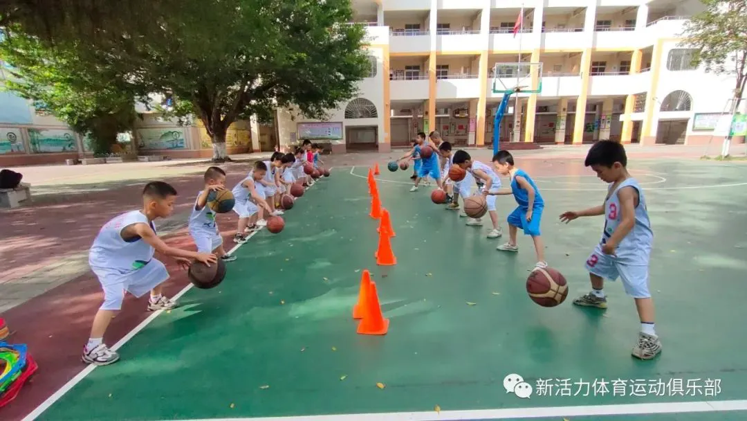 一周篮球训练计划安排_1